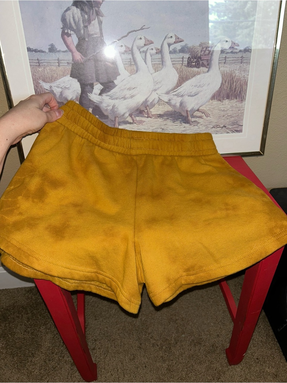 True Religion Mustard Drawstring Shorts with Script Logo - Picture 4 of 4